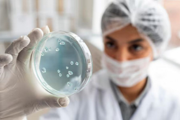 O congelamento de óvulos é uma das estratégias mais importantes para preservar a fertilidade de mulheres