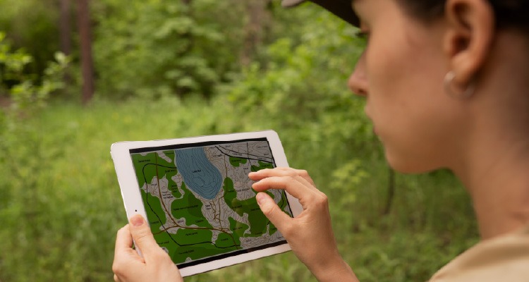 CPRH passa a emitir multa sobre desmatamento de forma remota/Foto: MPPE