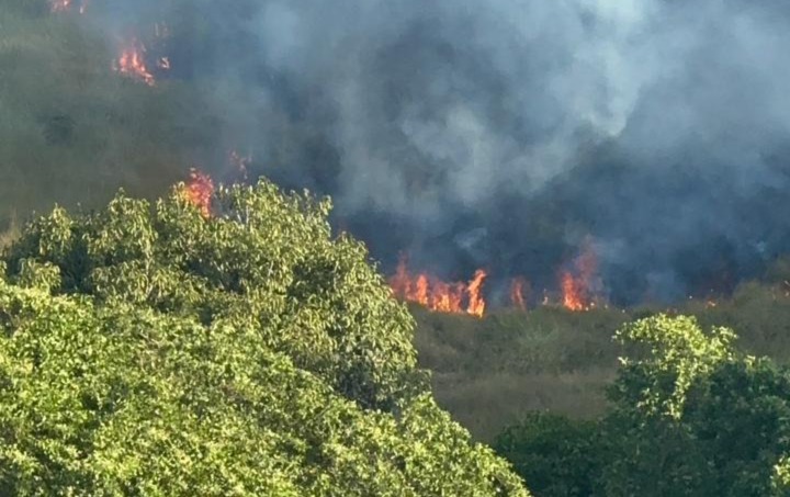 Incêndio atinge Ilha do Zeca, no Recife/Foto: Reprodução/Whatsapp