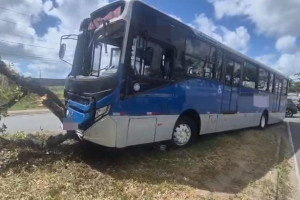  O motorista do coletivo não conseguiu evitar a colisão e, após o impacto, ainda perdeu o controle do veículo e atingiu uma árvore às margens da via.
