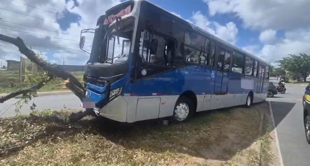  O motorista do coletivo não conseguiu evitar a colisão e, após o impacto, ainda perdeu o controle do veículo e atingiu uma árvore às margens da via.
/Divulgação