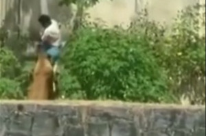 Homem tentou escapar do animal, mas não conseguiu.