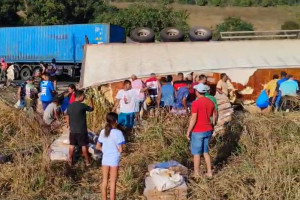 Populares saqueiam carga após acidente que deixou três mortos na BR-101