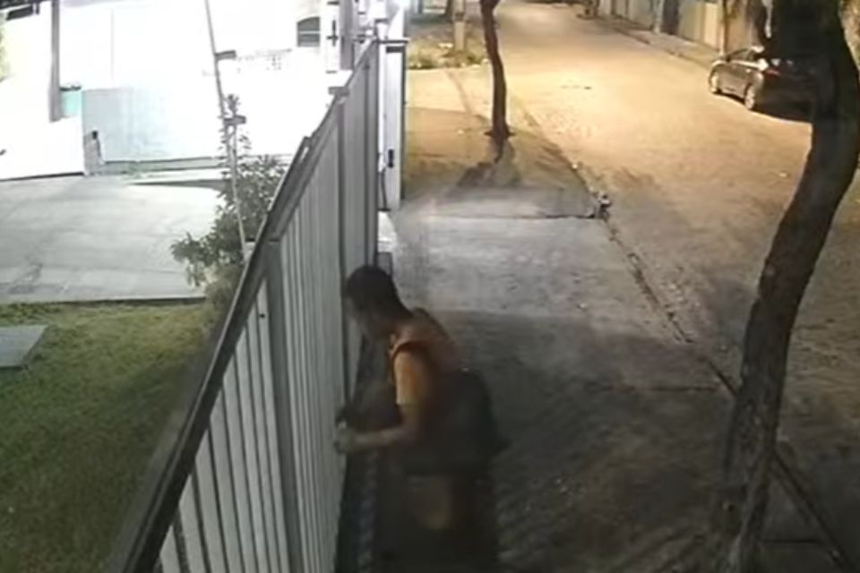 Nem as renas de presépio escapam dos furtos: câmeras de segurança flagram assaltantes em Água Fria, Zona Norte do Recife
/Reprodução/redes sociais