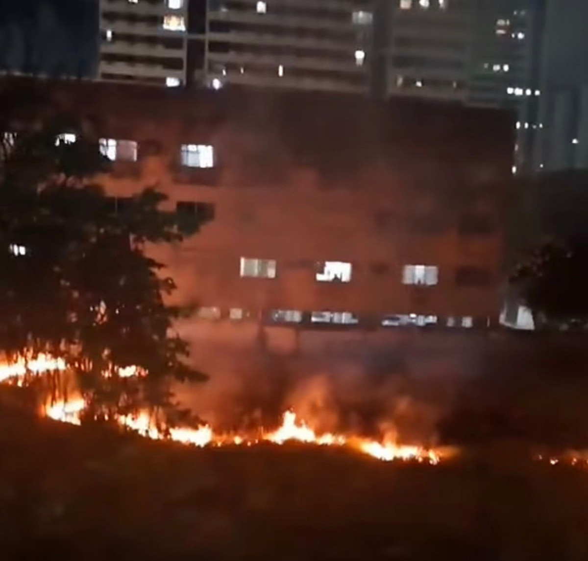 Reprodução/Internet