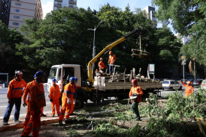 Profissionais da prefeitura trabalham para removerem árvore caída na avenida 23 de Maio após tempestade com fortes ventos na capital paulista