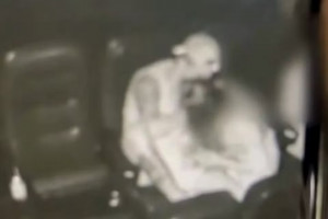 O caso ocorreu no último domingo (7)