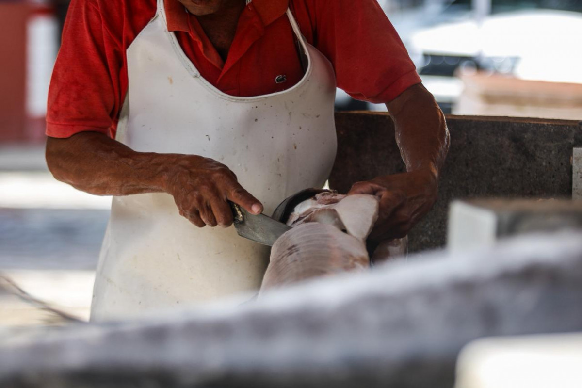 Comerciantes, que atualmente não arcam com taxas municipais, temem encarecimento da permanência no mercado  (Marina Torres/DP Foto)