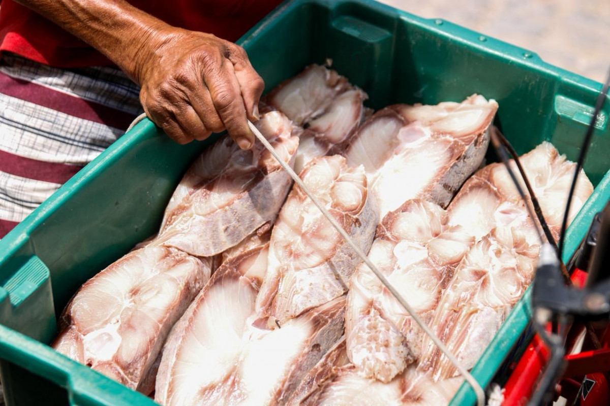 Comerciantes, que atualmente não arcam com taxas municipais, temem encarecimento da permanência no mercado  (Marina Torres/DP Foto)