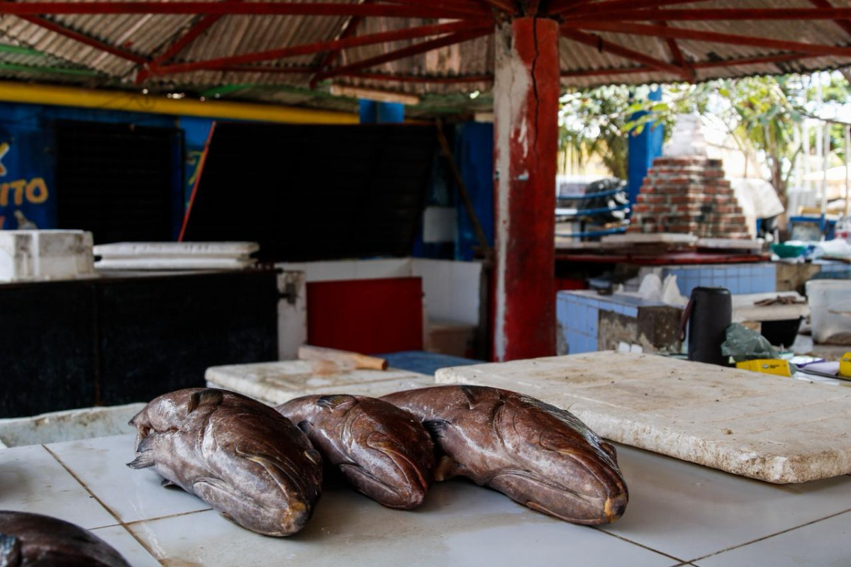 Comerciantes, que atualmente não arcam com taxas municipais, temem encarecimento da permanência no mercado  (Marina Torres/DP Foto)