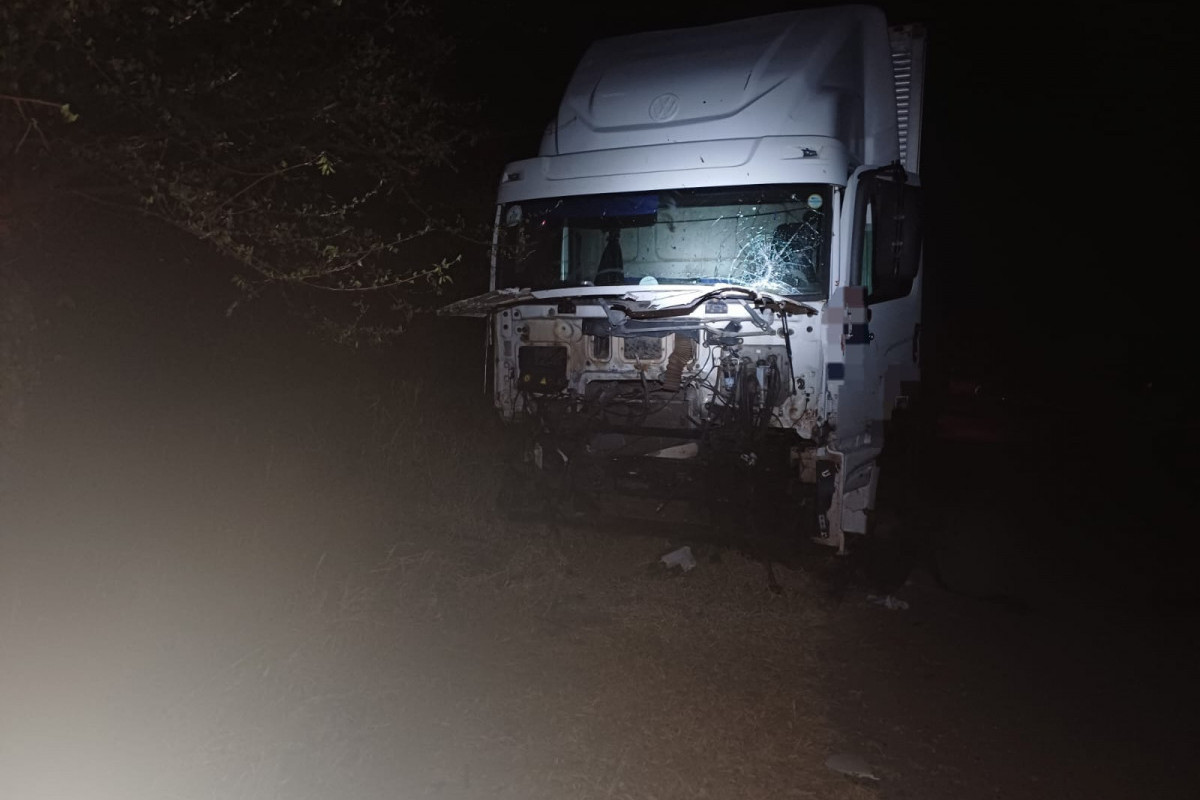 Animais soltos na pista: caminhão bate em 10 bois na BR-232, em Arcoverde
/Ascom/PRF