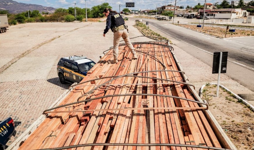 Operação contra crimes ambientais apreende madeira ilegal e resgata aves silvestres no Agreste e Sertão
/Ascom/PRF