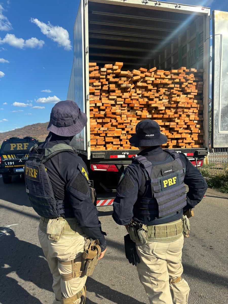 Operação contra crimes ambientais apreende madeira ilegal e resgata aves silvestres no Agreste e Sertão
 (Ascom/PRF)
