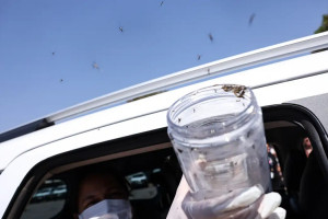 Imunização é feita na aldeia Cimbres em Pernambuco
