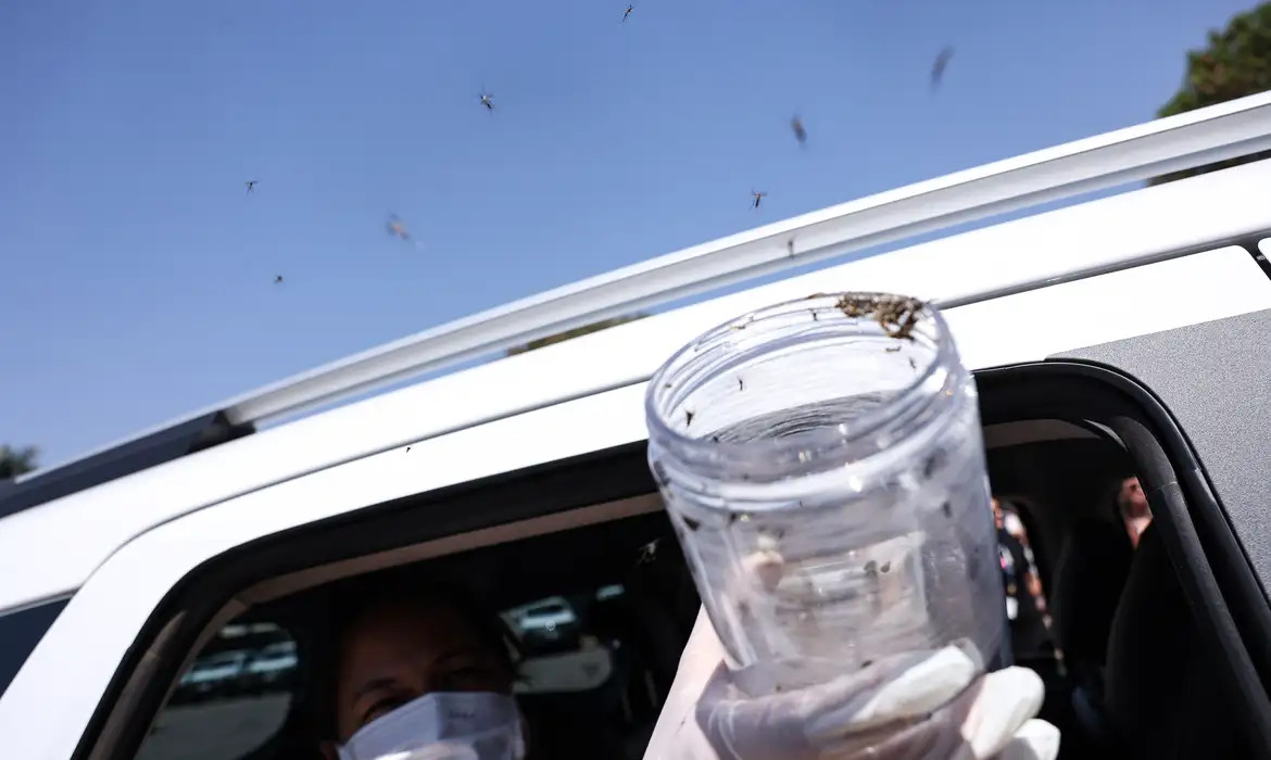 Imunização é feita na aldeia Cimbres em Pernambuco
/Foto: Marcelo Camargo/Agência Brasil