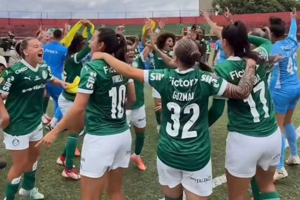 Reprodução/Redes Sociais/Palmeiras