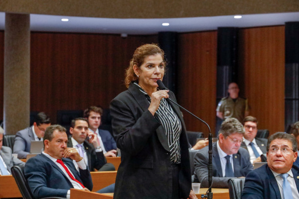 Líder da base governista na Alepe, Socorro Pimentel (UB)