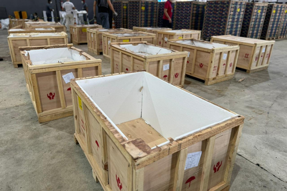 PF apreende cocaína no aeroporto do Recife (Foto: Divulgação/PF)