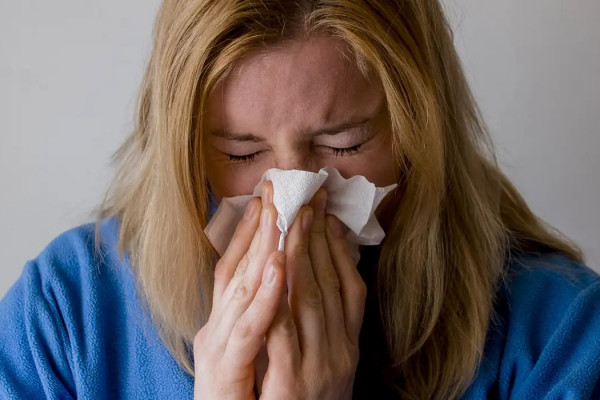 Gripe (Mojpe/Pixabay)