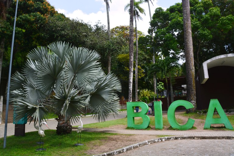 Parque Zoobotânico Arruda Câmara, conhecido como Parque da Bica, em João Pessoa (PB). /Arquivo/Secom-JP.