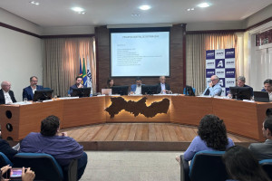 O an&uacute;ncio aconteceu durante a 134&ordm; Reuni&atilde;o do Conselho Estadual de Pol&iacute;ticas Industrial, Comercial e de Servi&ccedil;os (Condic), na Ag&ecirc;ncia de Desenvolvimento Econ&ocirc;mico (Adepe)

