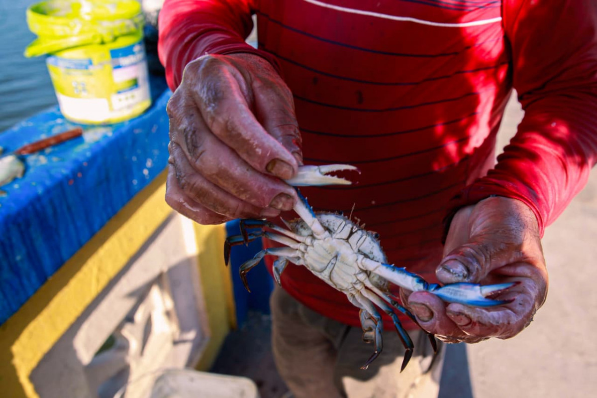 Pesca nas pontes é forma acessível de driblar o desemprego (Crisly Viana/DP Foto)