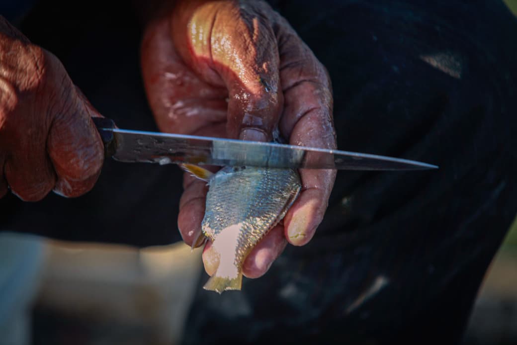 Pesca nas pontes é forma acessível de driblar o desemprego (Crisly Viana/DP Foto)