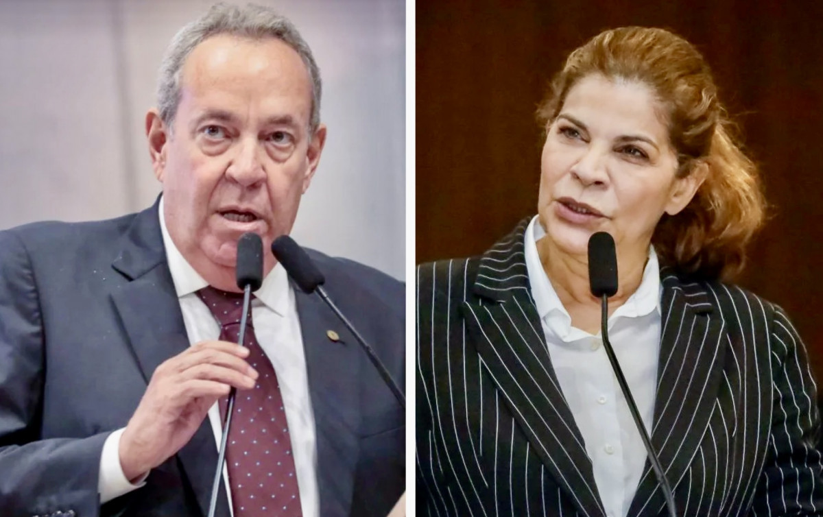 Presidente da Alepe, Álvaro Porto e a líder do governo, deputada Socorro Pimentel (UB)/Reprodução 