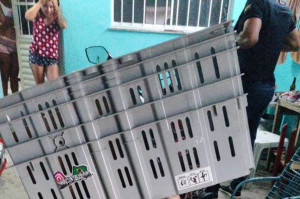 De acordo com as investiga&ccedil;&otilde;es, as v&iacute;timas eram feitas de ref&eacute;ns e eram amea&ccedil;adas. 