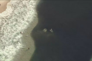 Praia do Leme, no Rio de Janeiro