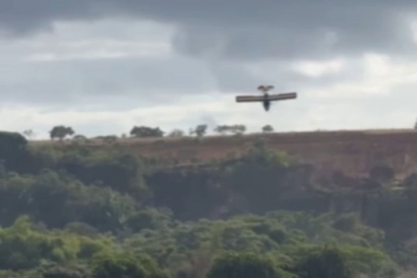 Imagens mostram momento em que o ultraleve do prefeito de Barreiros cai na Mata Sul do estado
