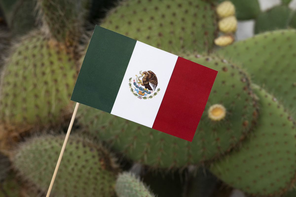 Bandeira do México/Foto: freepik