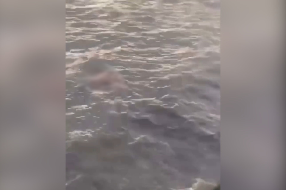 Pessoa foi resgatada sem vida do mar de Pau Amarelo, em Paulista/Reprodução