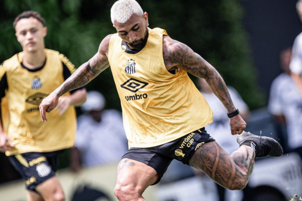 Raul Baretta / Santos FC