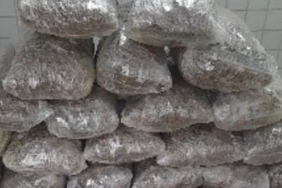 Droga foi apreendida durante patrulhamento de rotina/PM/divulgação