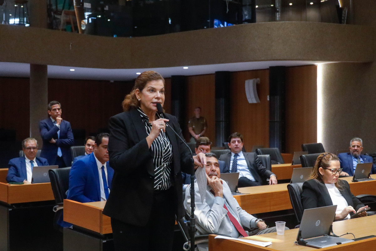 Deputada Socorro Pimentel (UB), líder da base governista na Alepe (Foto: Roberta Guimarães / Alepe)