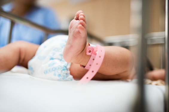 Ranking aponta nomes de bebês mais escolhidos e registrados em cartórios /Agência  FreePik