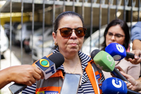 Gerente geral de Engenharia da Defesa Civil, Elaine Hawson