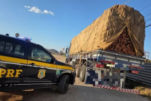 Madeira apreendida pela PRF no Sert&atilde;o
