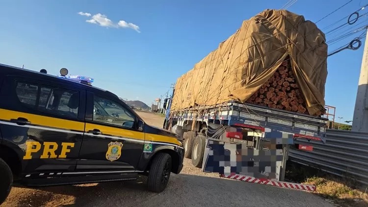 Madeira apreendida pela PRF no Sertão/Foto: PRF