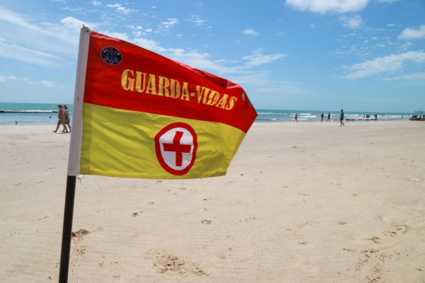 O Estado não registra incidentes com tubarões nas praias do Grande Recife há 2 anos e 10 meses (Foto: Karol Rodrigues/DP Foto)