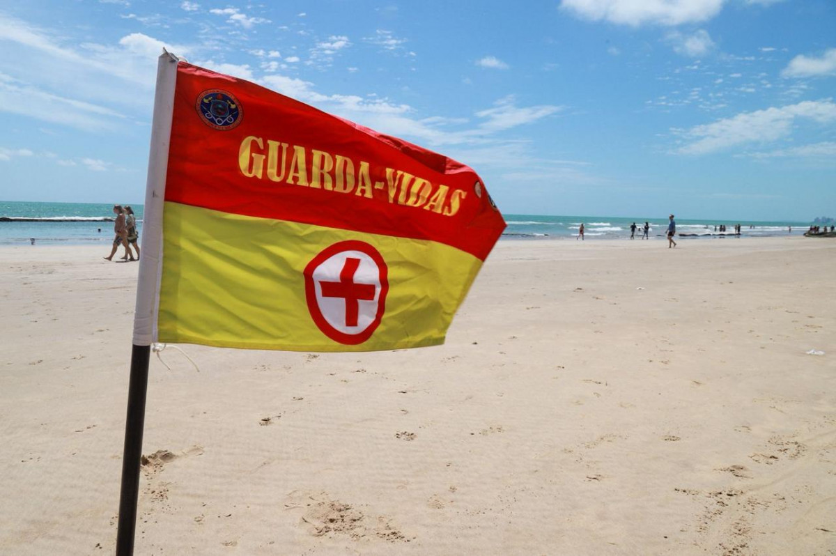 O Estado não registra incidentes com tubarões nas praias do Grande Recife há 2 anos e 10 meses (Foto: Karol Rodrigues/DP Foto)