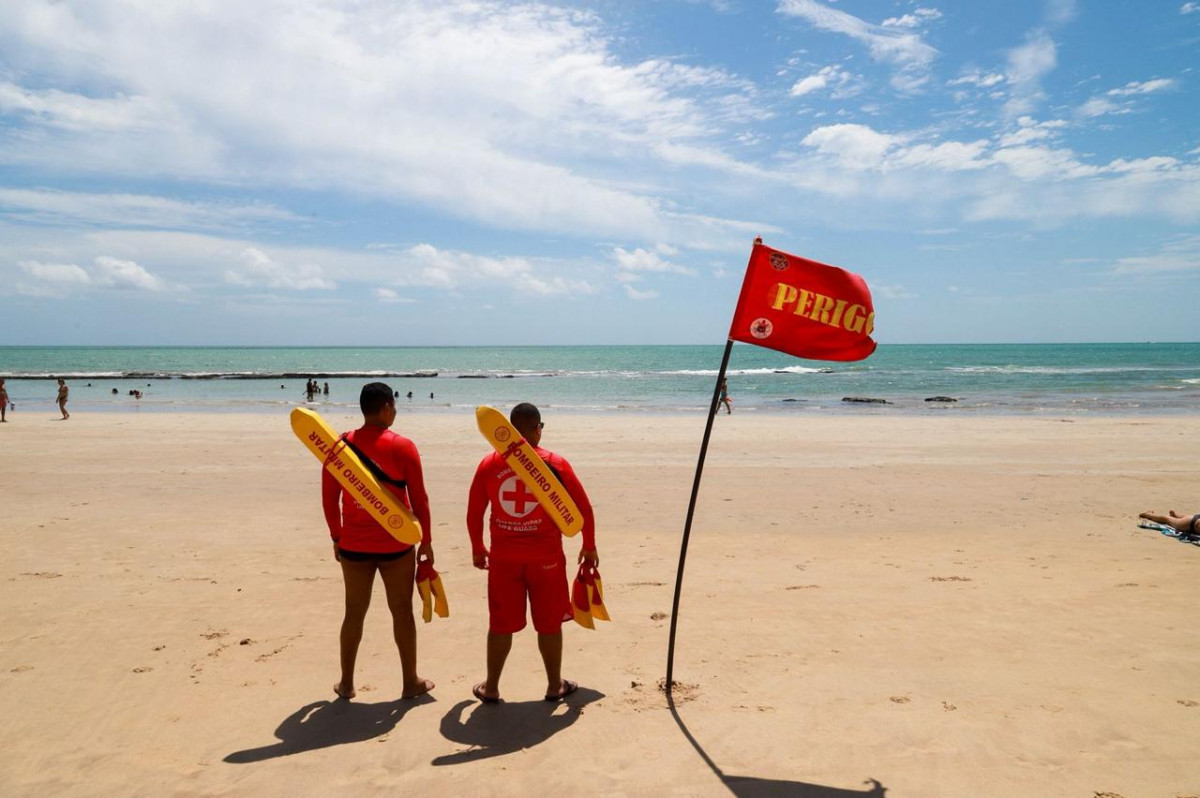 O monitoramento de tubarões na Região Metropolitana está interrompido desde 2015/Foto: Karol Rodrigues/DP