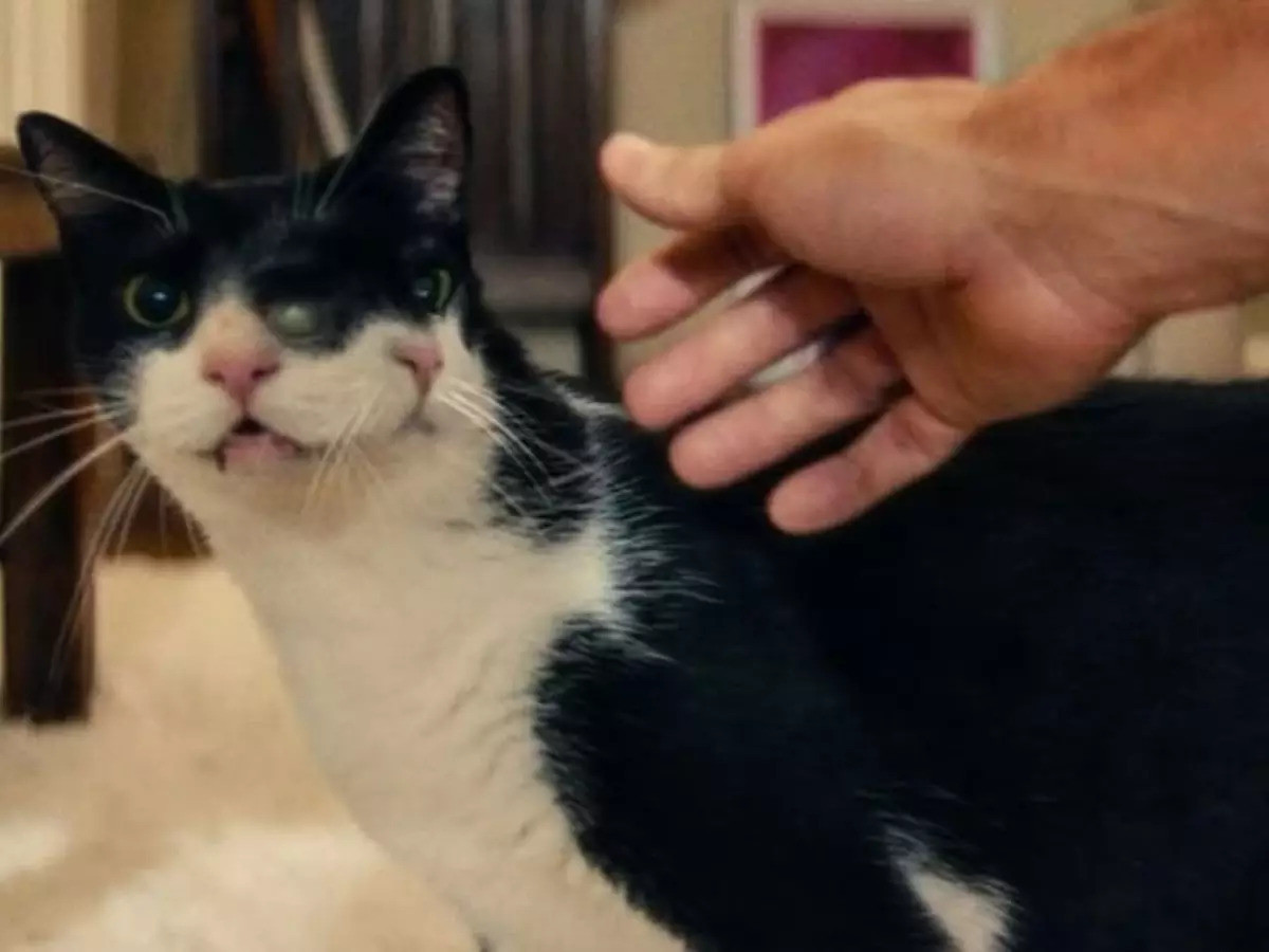 Foto: Divulgação/Vitrine Filmes