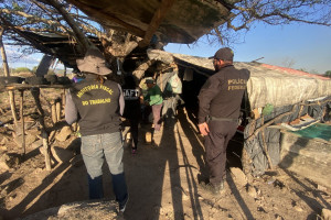 Opera&ccedil;&atilde;o resgatou 14 trabalhadores submetidos a condi&ccedil;&otilde;es an&aacute;logas &agrave; escravid&atilde;o nas cidades de Exu e Parnamirim.