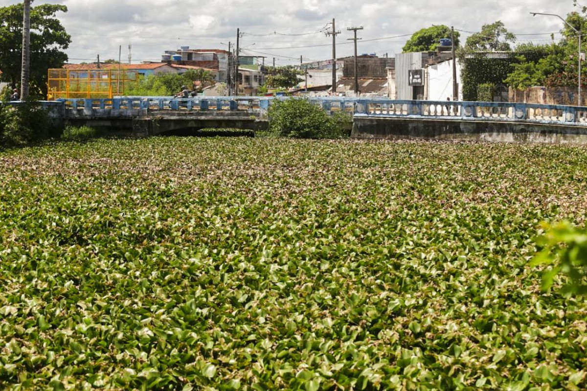 Baronesas em Olinda/Foto: Crysli Viana/DP Foto
