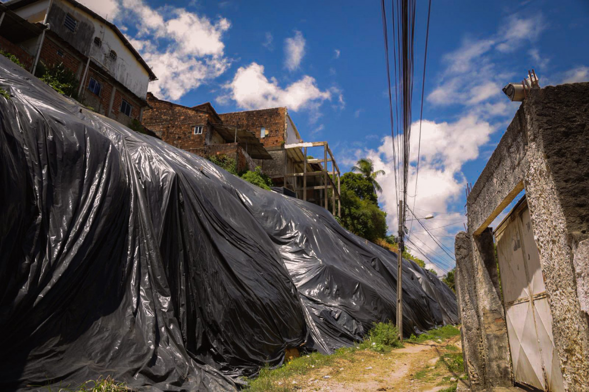 No local, barreira que desabou três vezes possui árvores inapropriadas (Crysli Viana/DP Foto )