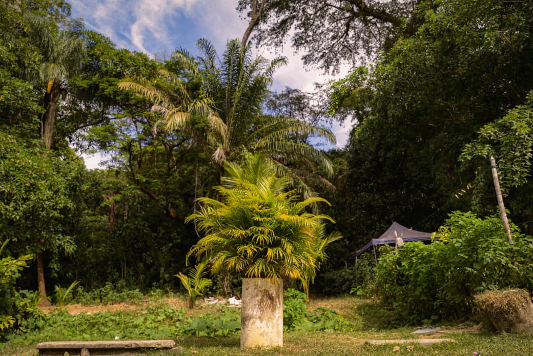 Moradores destacam que arborização contribui para a qualidade e o estilo de vida da comunidade (Crysli Viana/DP Foto)