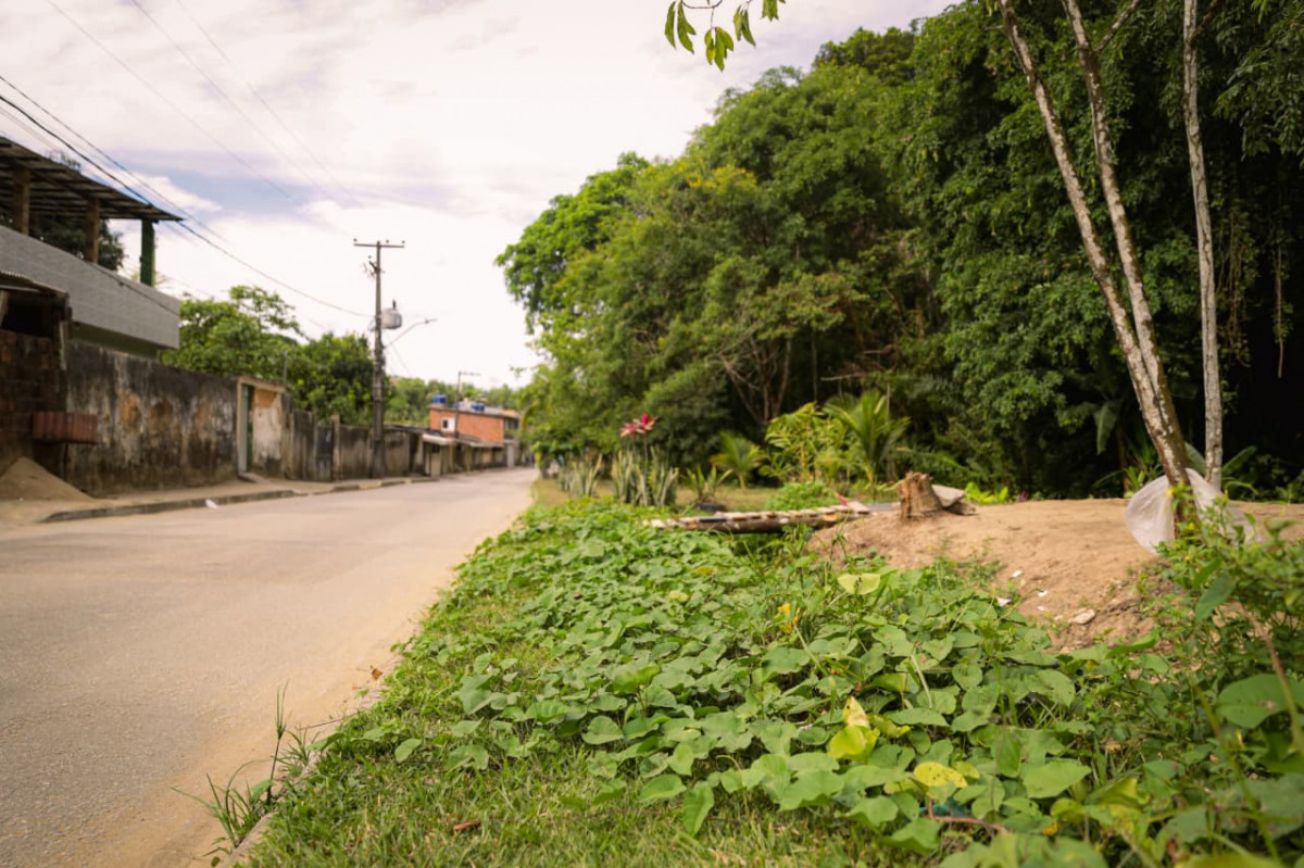 Moradores destacam que arborização contribui para a qualidade e o estilo de vida da comunidade (Crysli Viana/DP Foto)