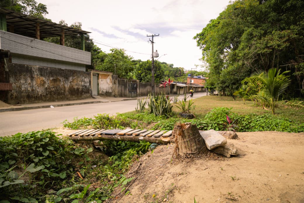 Moradores destacam que arborização contribui para a qualidade e o estilo de vida da comunidade (Crysli Viana/DP Foto)